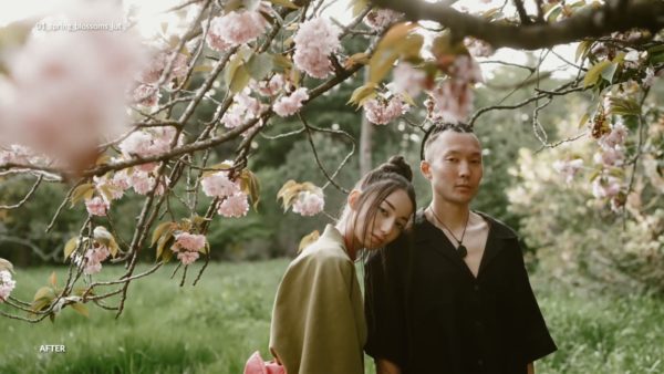 Пример работы LUT из набора Весенние LUT для видео Spring Blossoms