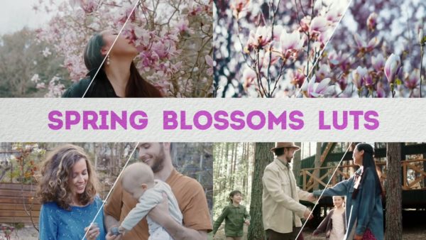Постер набора Весенние LUT для видео Spring Blossoms