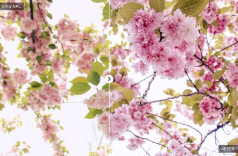Пример обработки фото пресетом Spring в Lightroom, кадр 2