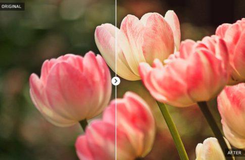 Пример обработки фото пресетом Spring в Lightroom, кадр 3
