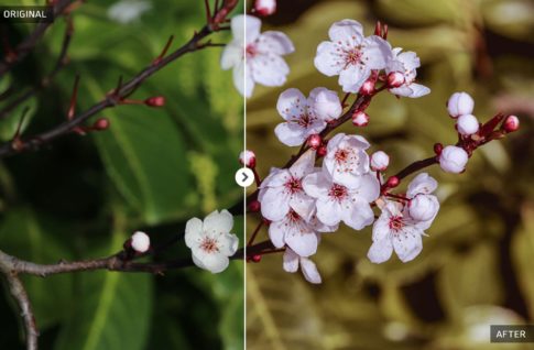 Пример обработки фото пресетом Spring в Lightroom, кадр 9