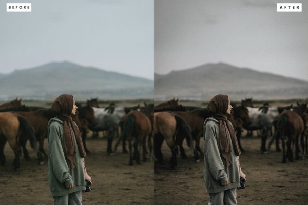 Пример обработки фото пресетом Vintage в Lightroom, кадр 2