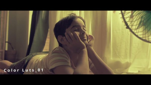 Пример работы LUT из набора Винтажные ретро-LUT для монтажа видео Vintage Retro