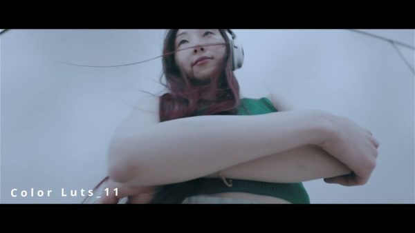 Кадр видео после цветокоррекции LUT для винтаж вариант 4