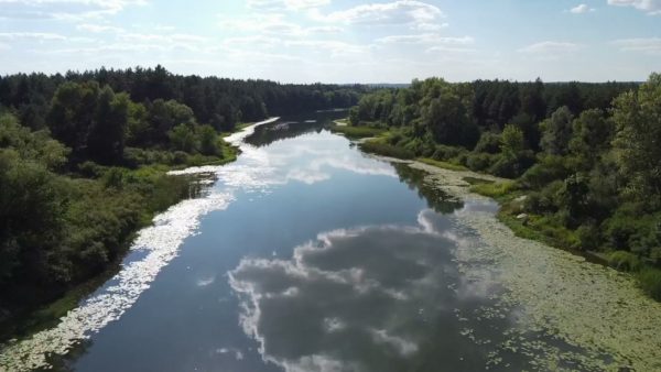 Кадр видео после цветокоррекции LUT для дикая природа вариант 6