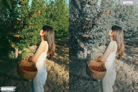 Пример обработки фото пресетом Bright Sweet в Lightroom, кадр 2