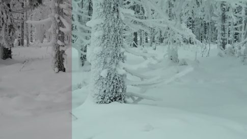 Пример работы LUT из набора Зимние кино-LUT для видео Winter Grade