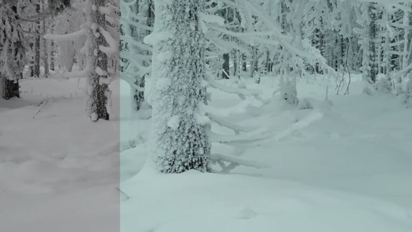 Пример работы LUT из набора Зимние кино-LUT для видео Winter Grade