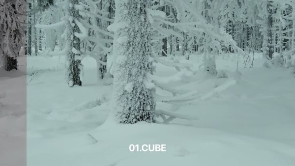 Кадр видео после цветокоррекции LUT для зима вариант 2