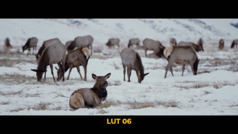 Кадр видео после цветокоррекции LUT для зима вариант 4