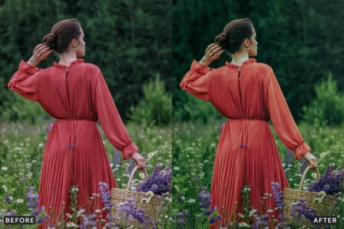 Фотография с цветокоррекцией из набора золотое солнце в весеннем цвету пресеты кадр 11