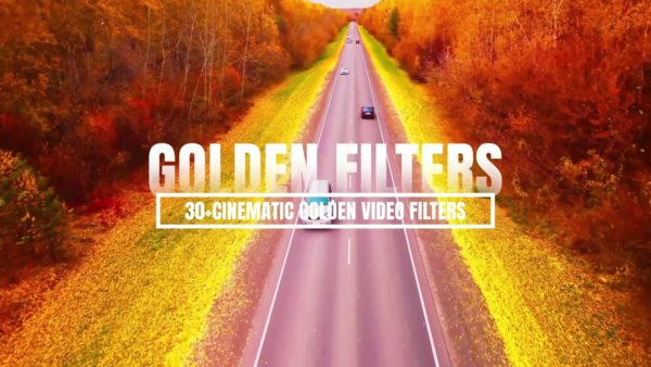 Пример работы LUT из набора Золотые кино-LUT для тёплого видео Golden Filters