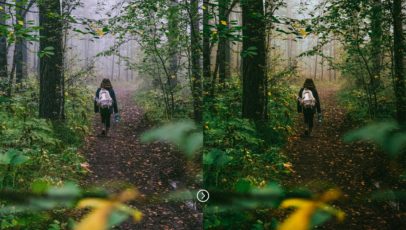 Фотография с цветокоррекцией из набора тёмная зелень пресеты