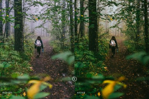 Фотография с цветокоррекцией из набора тёмная зелень пресеты