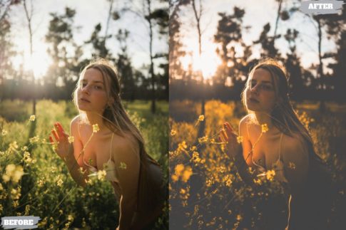 Фотография с цветокоррекцией из набора загорелый портрет пресеты
